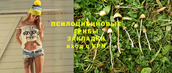 МДПВ Алзамай