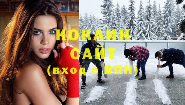 МДПВ Алзамай