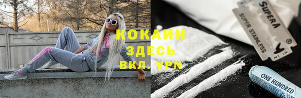МДПВ Алзамай