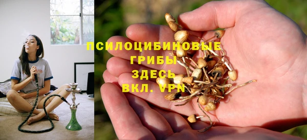 МДПВ Алзамай