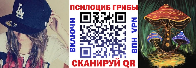 Псилоцибиновые грибы MAGIC MUSHROOMS  Любим 